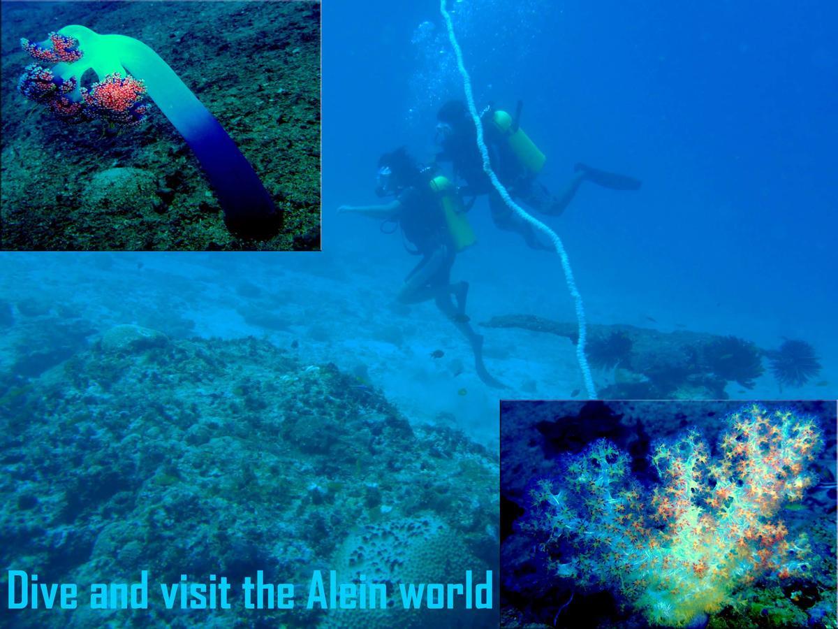 Pellicon Beach Resort Havelock island Exterior foto